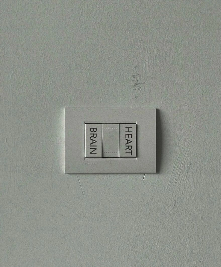 Сердце и мозг. Сердце и мозг.