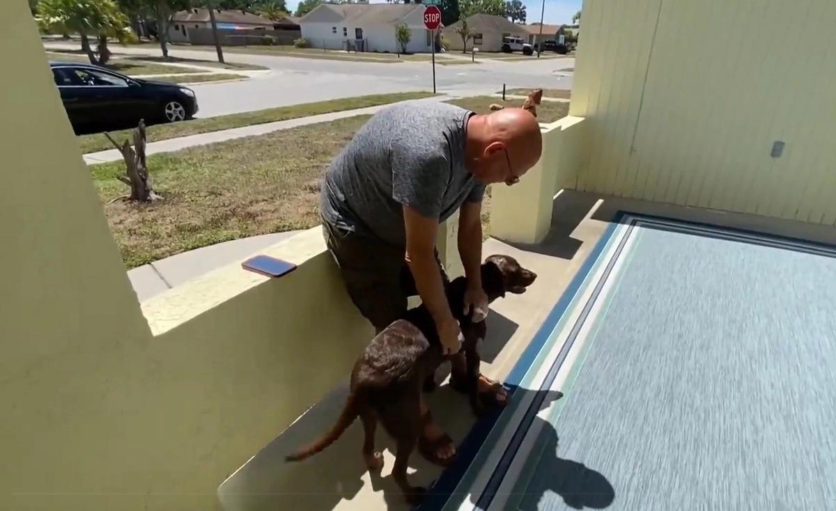 Сейчас Майк и Джейк находятся дома и постепенно идут на поправку. Сейчас Майк и Джейк находятся дома и постепенно идут на поправку.