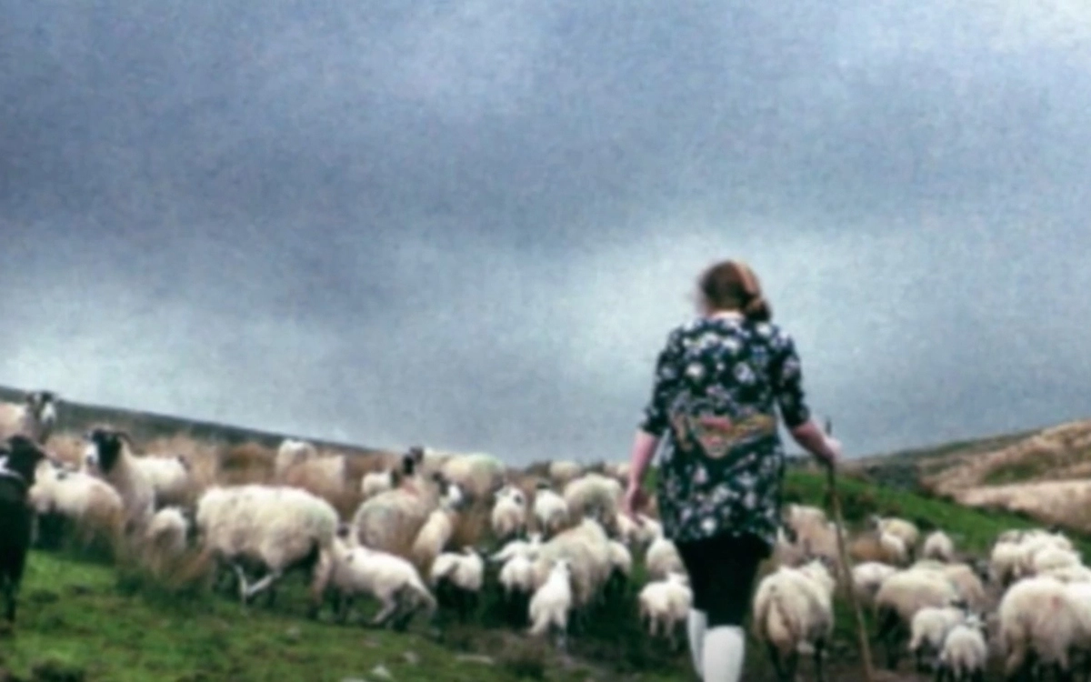 В 21 год Аманда стала пастушкой-стажером