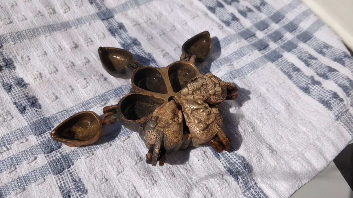 “Нашел эту штуку у себя в огороде. Вы в курсе, что с ней делать?” “Нашел эту штуку у себя в огороде. Вы в курсе, что с ней делать?”