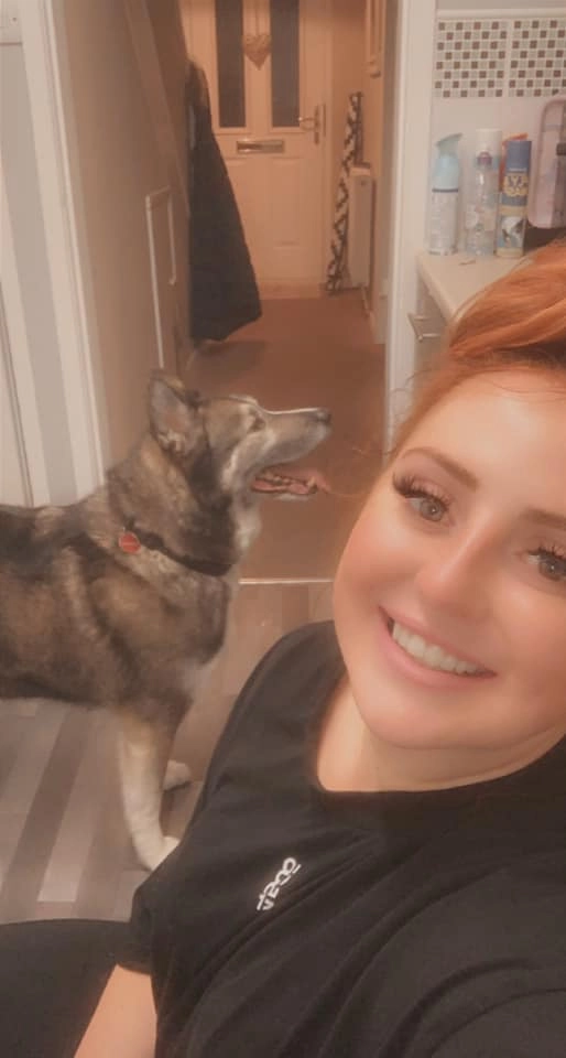 Как только Миа выяснила, что произошло, она поделилась снимком пса в своем Facebook, чтобы попытаться найти его владельца