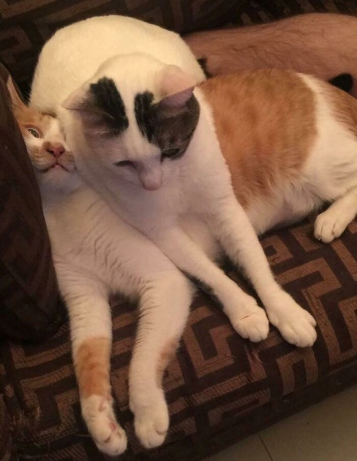 Личное пространство? Нет, не слышал. 