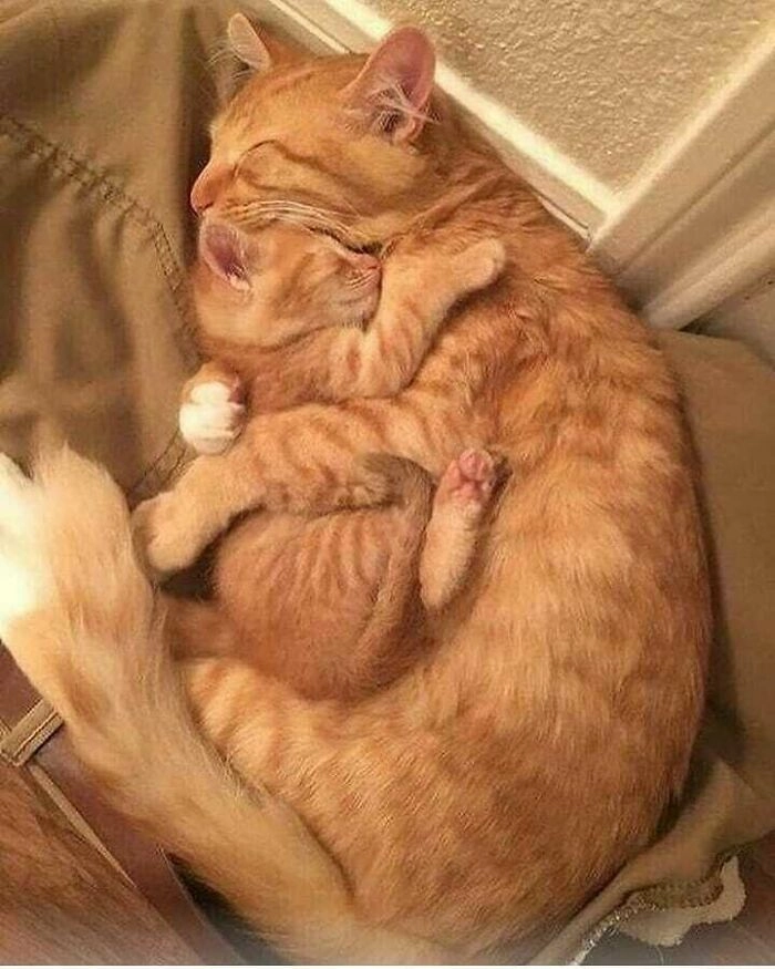 Безусловная любовь. 