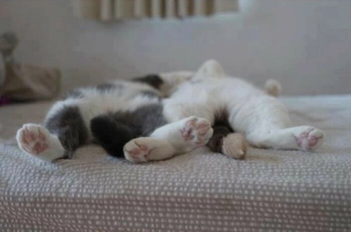 После тяжелого рабочего дня. 