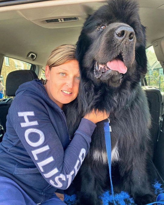 Несмотря ни на что, Эллиот и его жена Беверли очень любят лохматого вредину