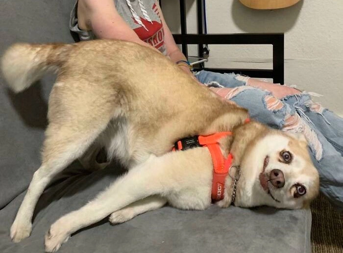 “Ничего необычного, просто решил прилечь”. “Ничего необычного, просто решил прилечь”.