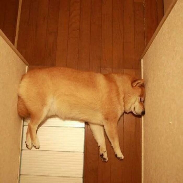 Тем временем в Суэцком канале. Тем временем в Суэцком канале.