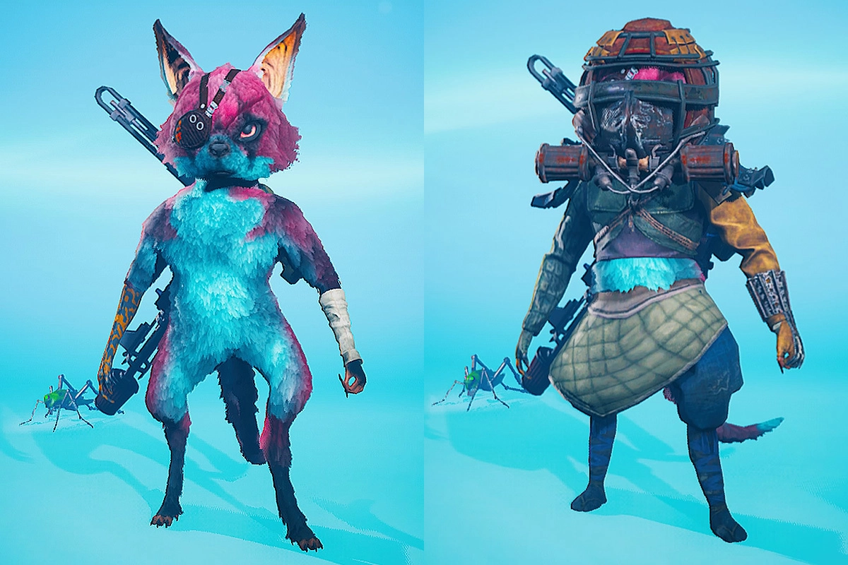 Вначале вы выбираете внешность зверька, цвет шерсти, полноту, но всю оставшуюся игру видите только костюм из местной брони