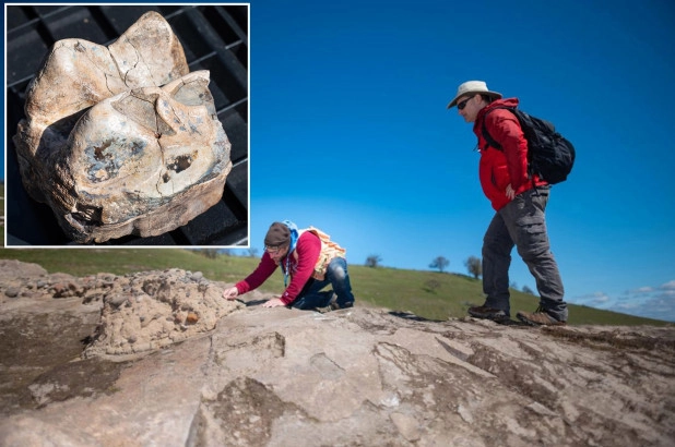 Осознав ценность своей находки, Грег продолжил исследовать местность и через три недели сделал еще одно удивительно открытие