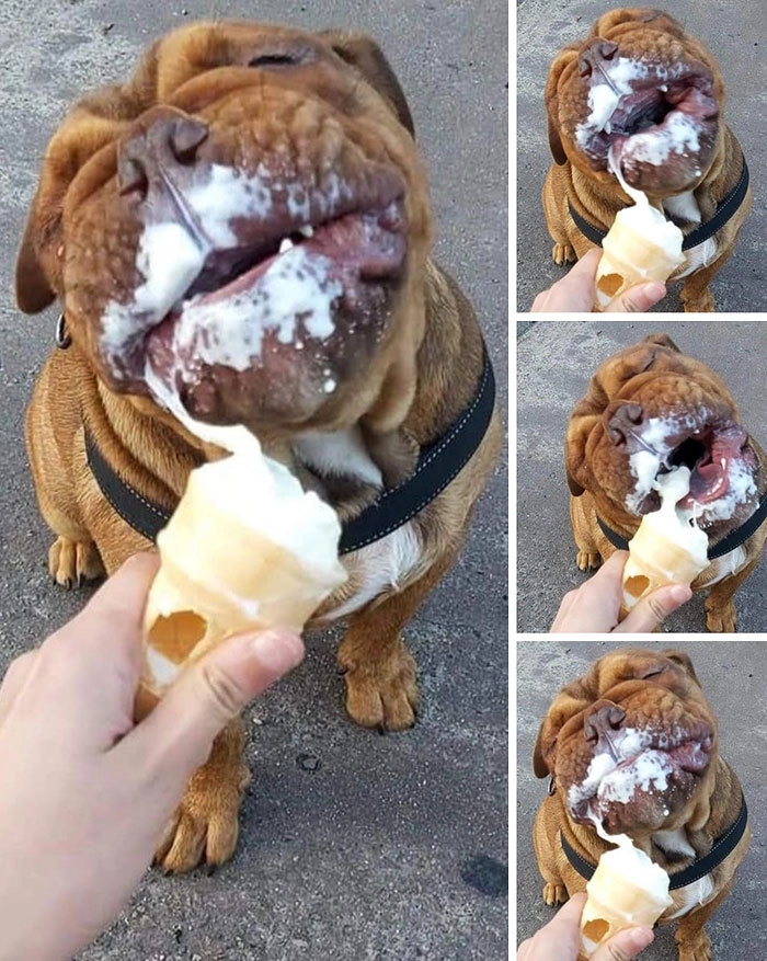 Безумно вкусная мороженка