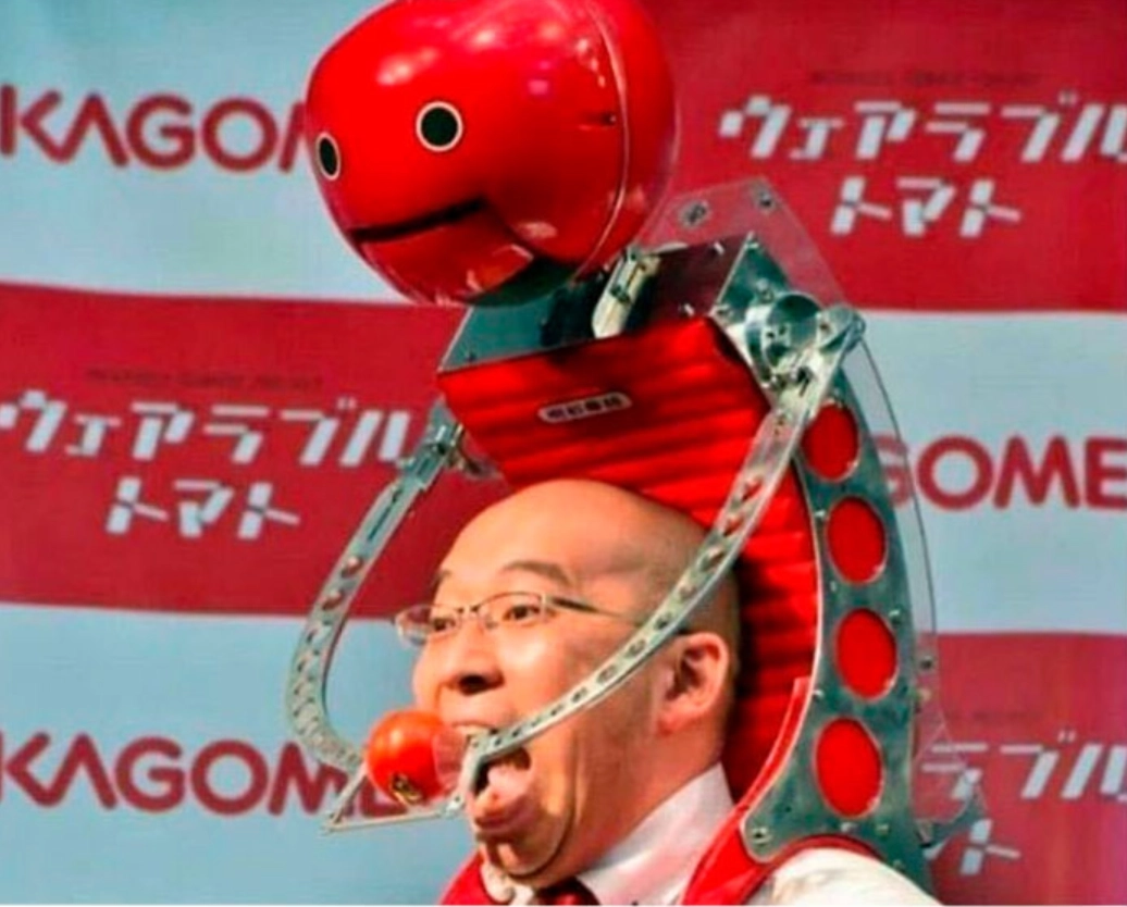 Робот, который кормит вас помидорами, пока вы заняты. 