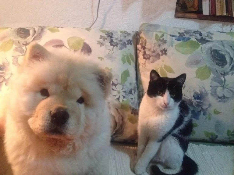 В Восточном Сараево В Восточном Сараево