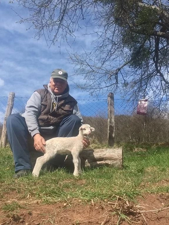 В Восточном Сараево В Восточном Сараево