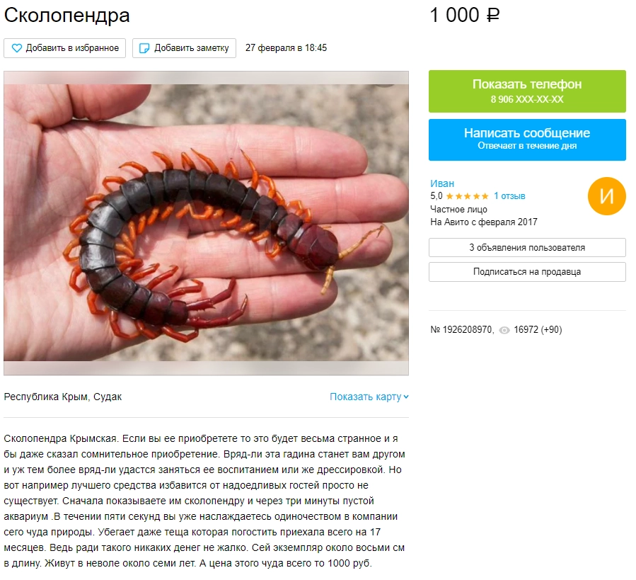 Как изгнать тещу всего за 1000 рублей? Как изгнать тещу всего за 1000 рублей?