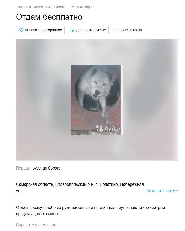 Кому добрую и ласковую собачку? Кому добрую и ласковую собачку?