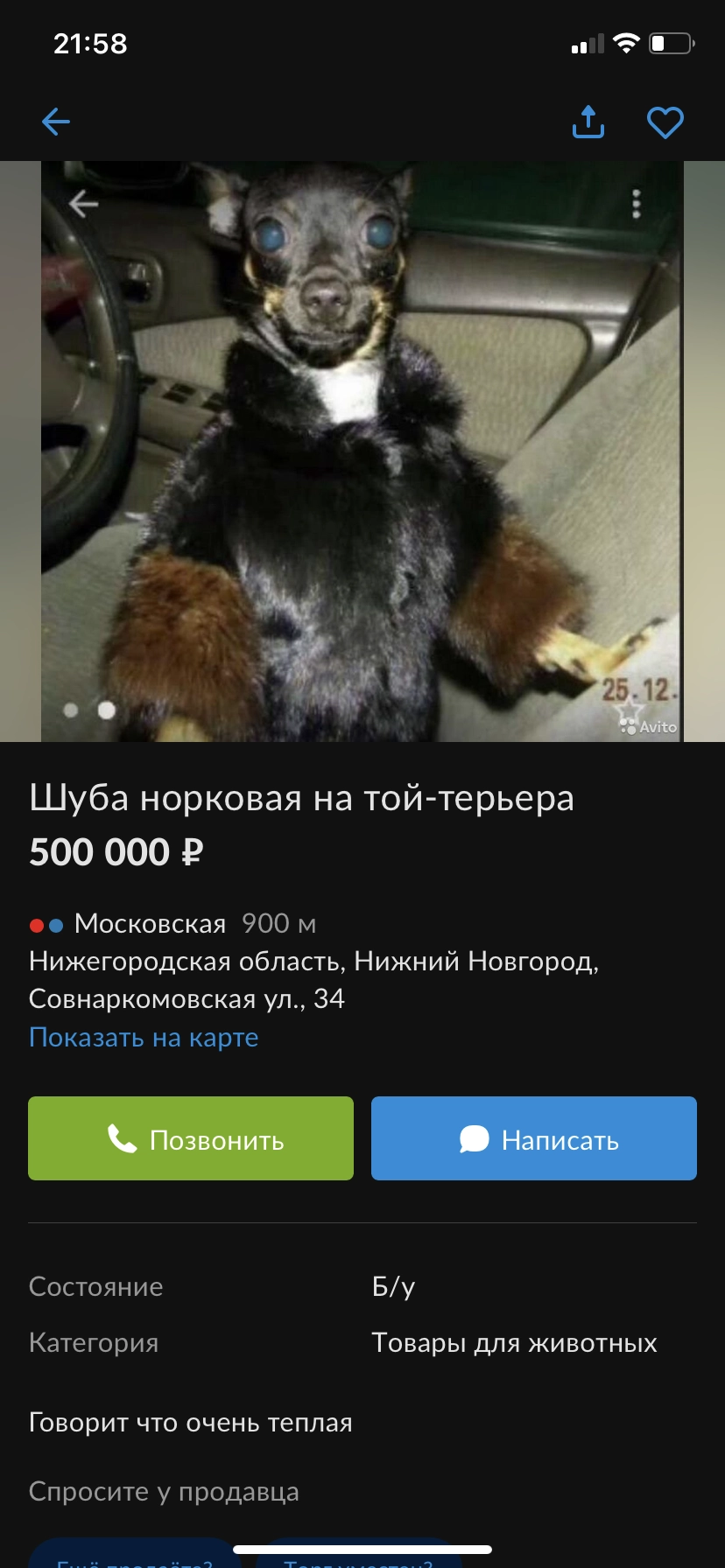 Ну раз пес говорит, что теплая, то надо брать. Ну раз пес говорит, что теплая, то надо брать.