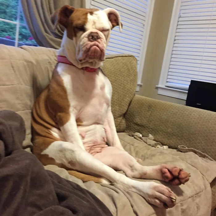 «Это наш Персик» «Это наш Персик»