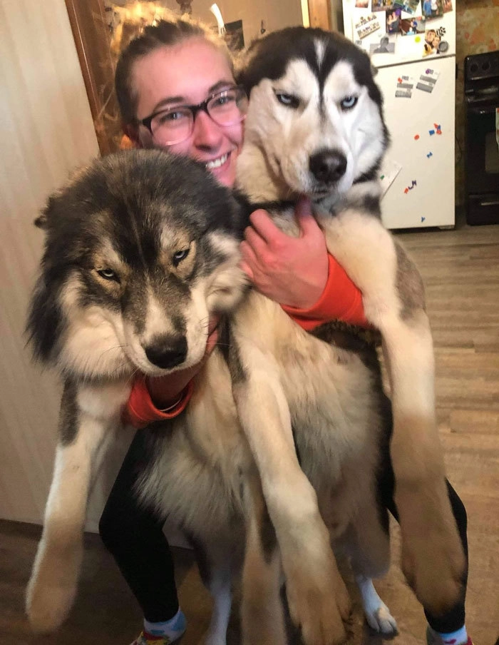 Они явно не хотели фотографироваться Они явно не хотели фотографироваться