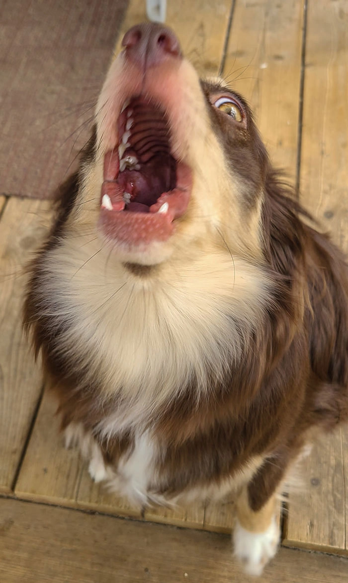 «Ну, маааам!» «Ну, маааам!»