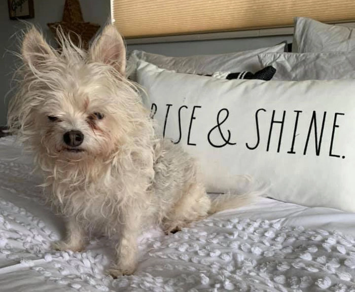 «Ральфи не в духе» «Ральфи не в духе»