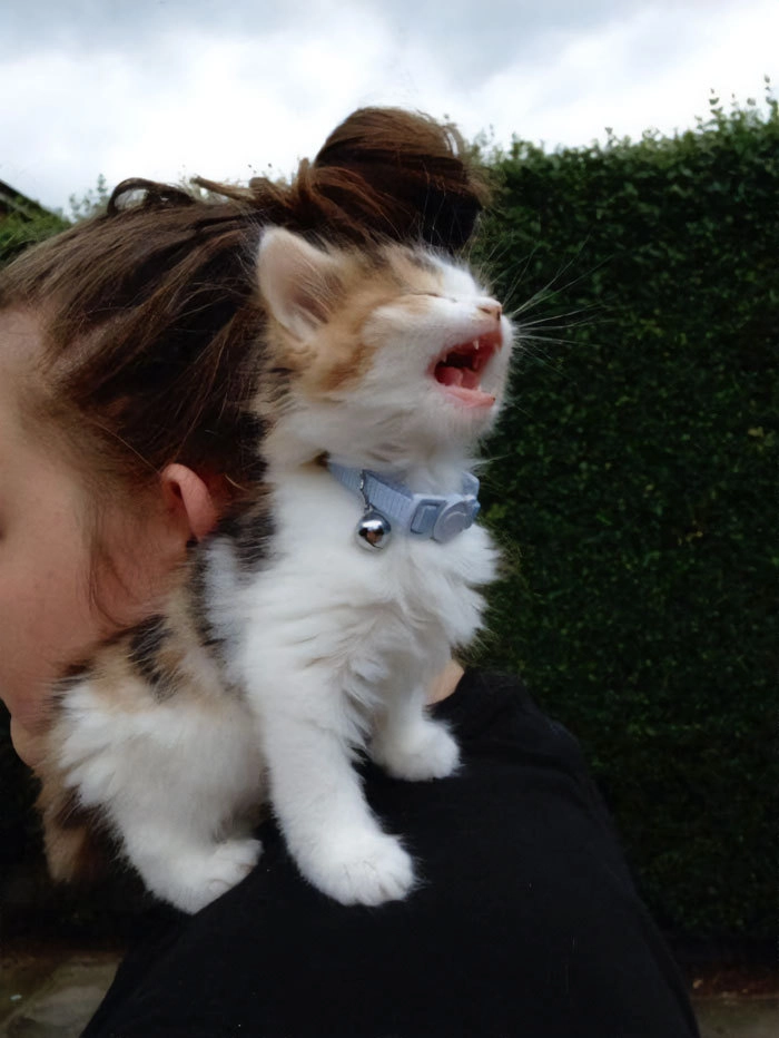 «И зачем так кричать?» «И зачем так кричать?»