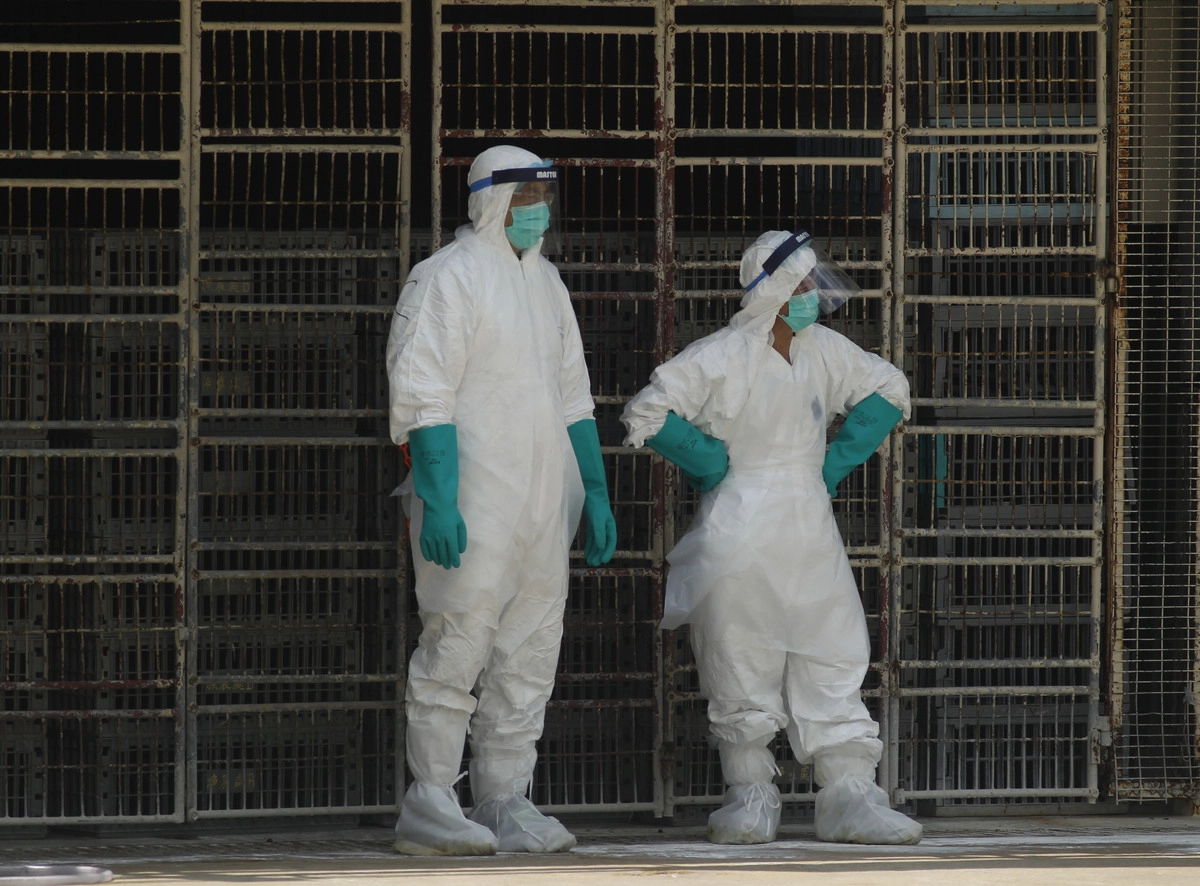 Специалисты, обеспечивающие карантин