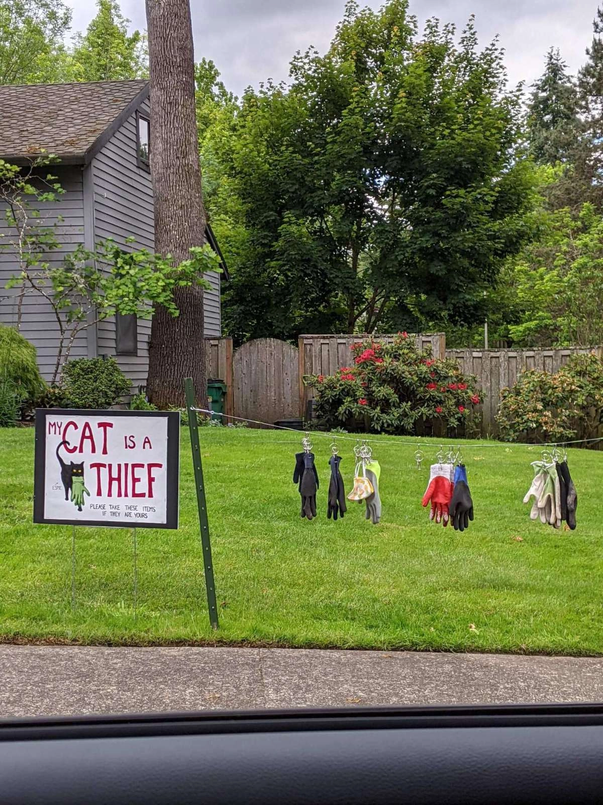 Семья поставила во дворе табличку, сообщающую, что их кошка — ловкая воришка перчаток