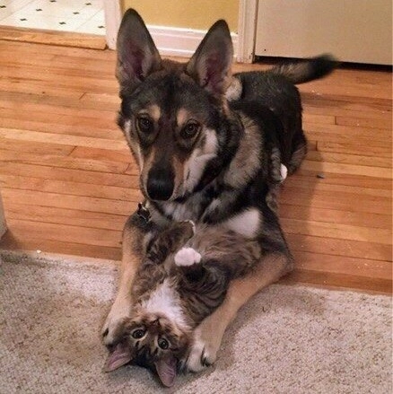 “Чего смотришь? Убирайся отсюда” “Чего смотришь? Убирайся отсюда”