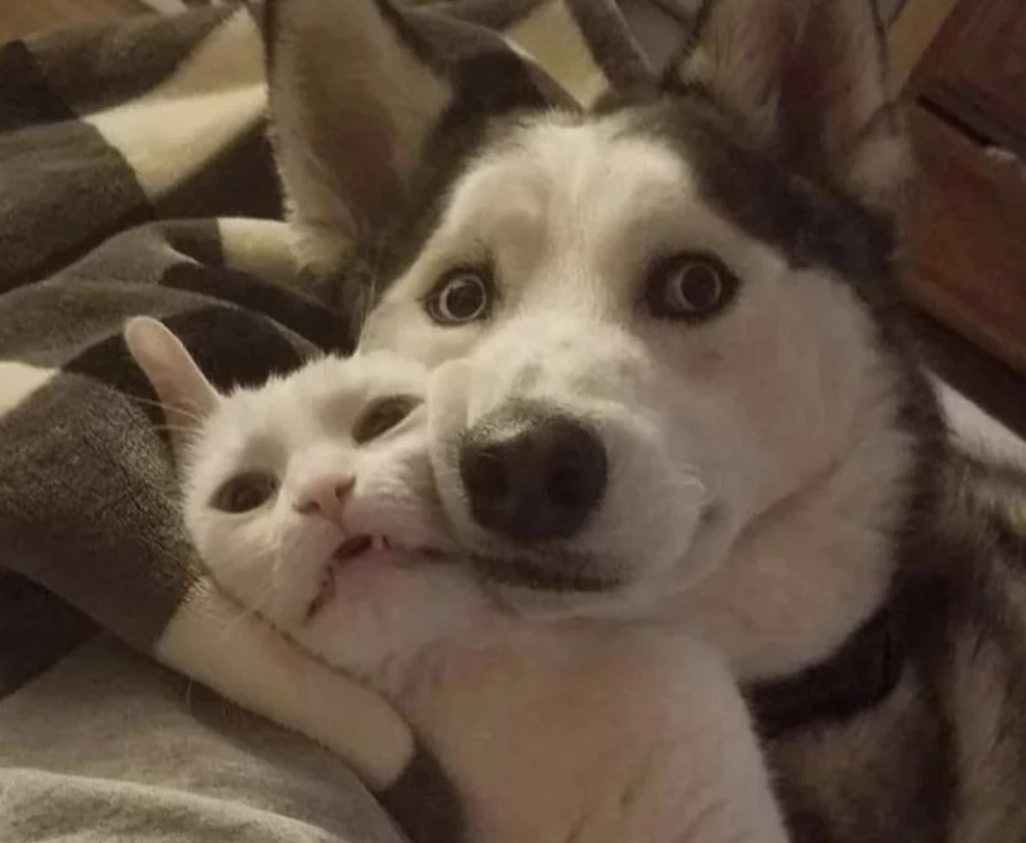 Когда один из вас не любит фотографироваться Когда один из вас не любит фотографироваться