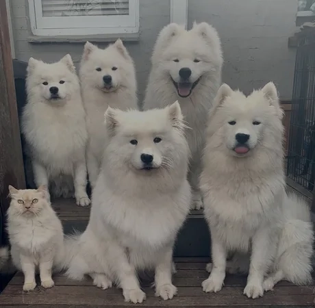 “Шел 23 день, меня все еще не раскрыли” “Шел 23 день, меня все еще не раскрыли”