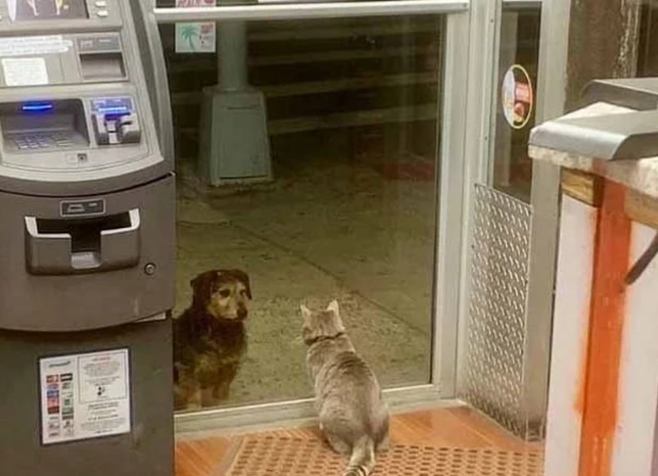 “Без маски не пускаем” “Без маски не пускаем”