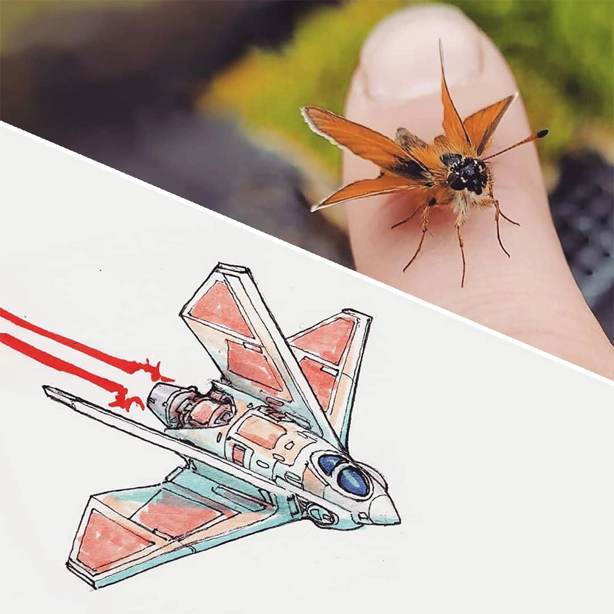 Мотылек Мотылек