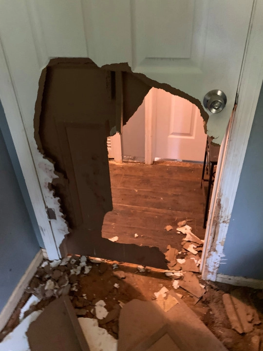 Дверь также пострадала от упрямого собакена.