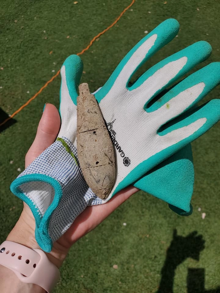 Пмаела она обнаружила в виноградных лозах небольшой предмет, покрытый ржавчиной и грязью