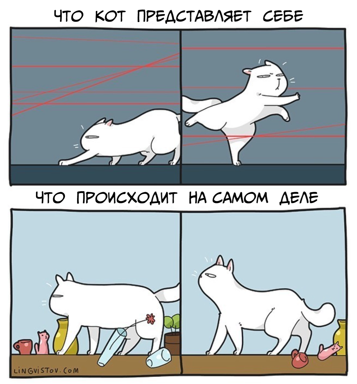 В голове кота все эпично. В голове кота все эпично.