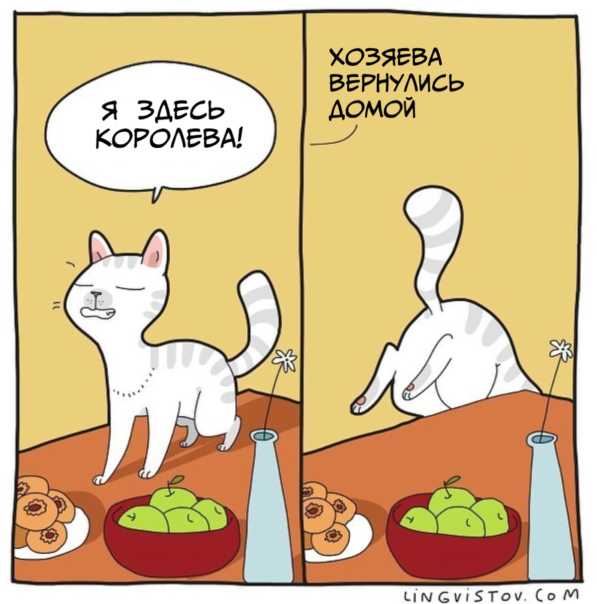 Ну когда хозяева на работе. Ну когда хозяева на работе.