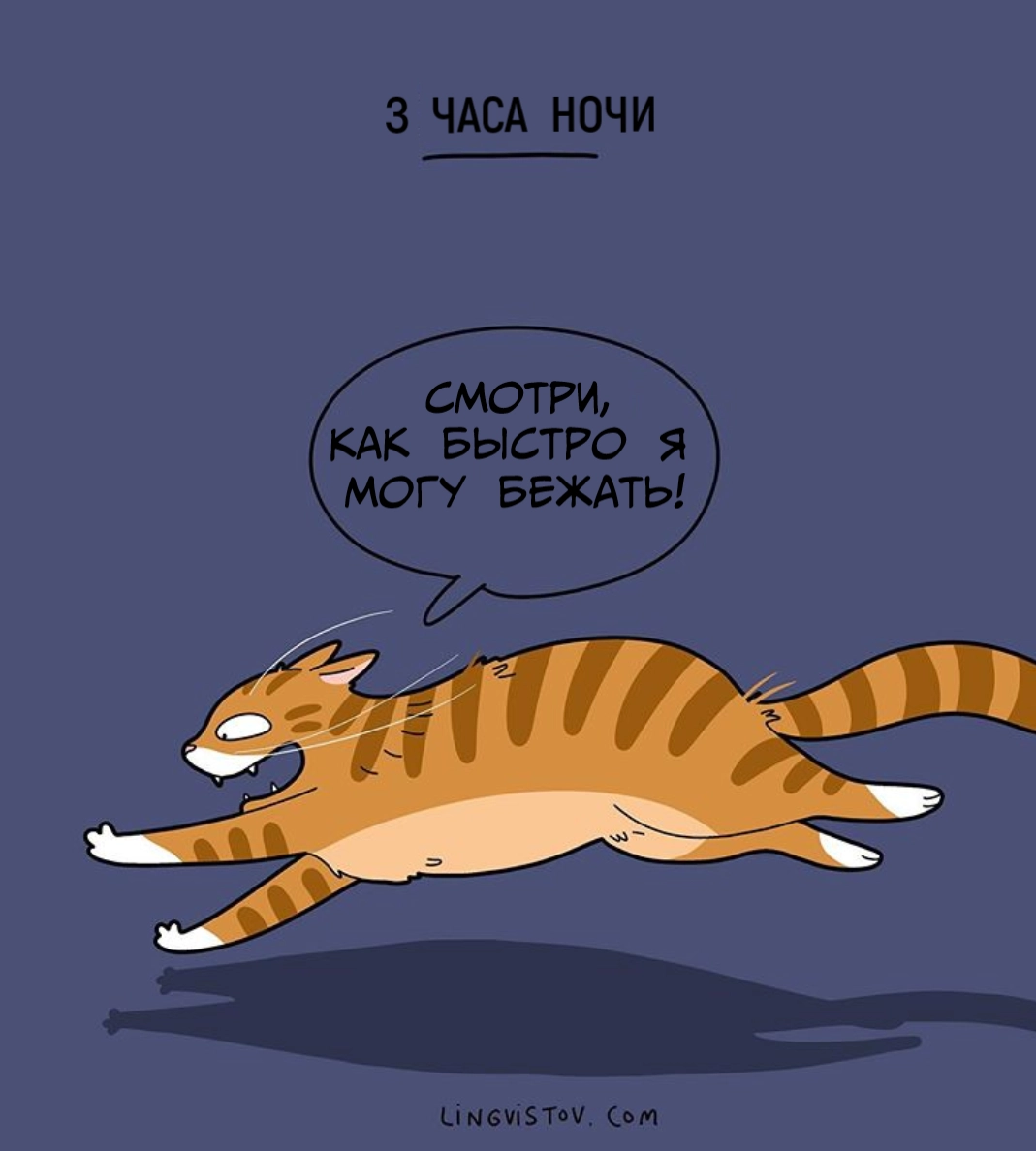 Самое время устроить гонки. Самое время устроить гонки.