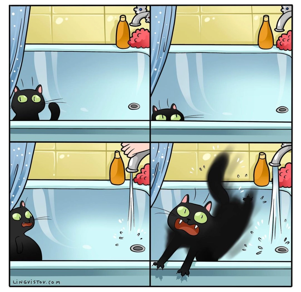 Коты и вода. Коты и вода.