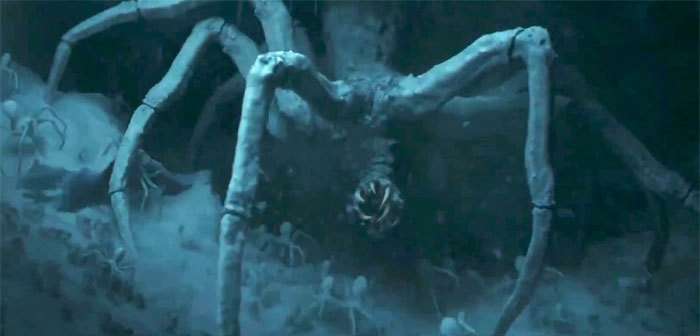 Инопланетный паук из «Мандалорца»