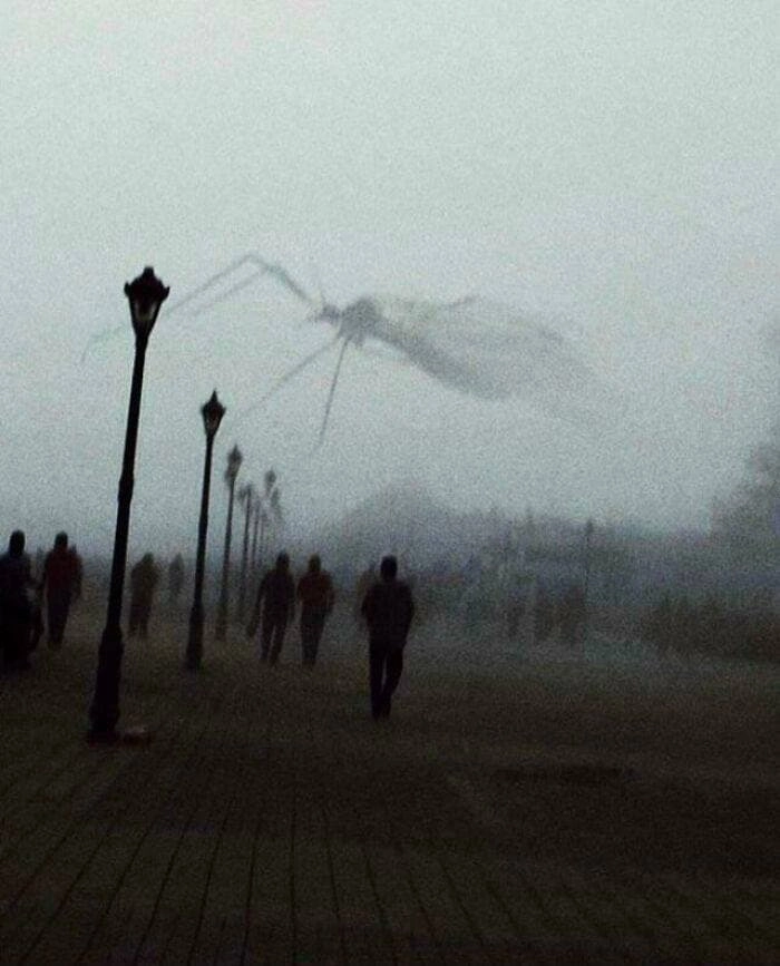 Это не кадр из фильма ужасов, а просто комар, пролетевший рядом с объективом. 