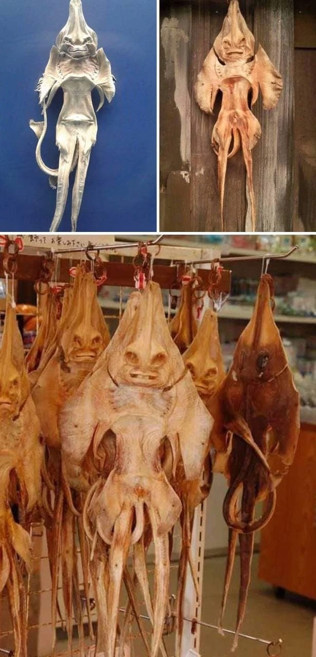 Сушёные скаты будут преследовать вас в кошмарах. 