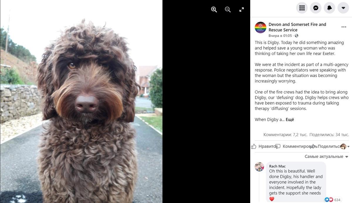 Действия Дигби были высоко оценены пользователями социальных сетей