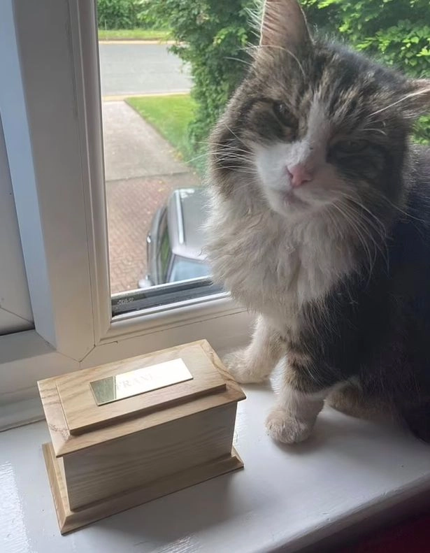 Фрэнки рядом «собственным» прахом Фрэнки рядом «собственным» прахом