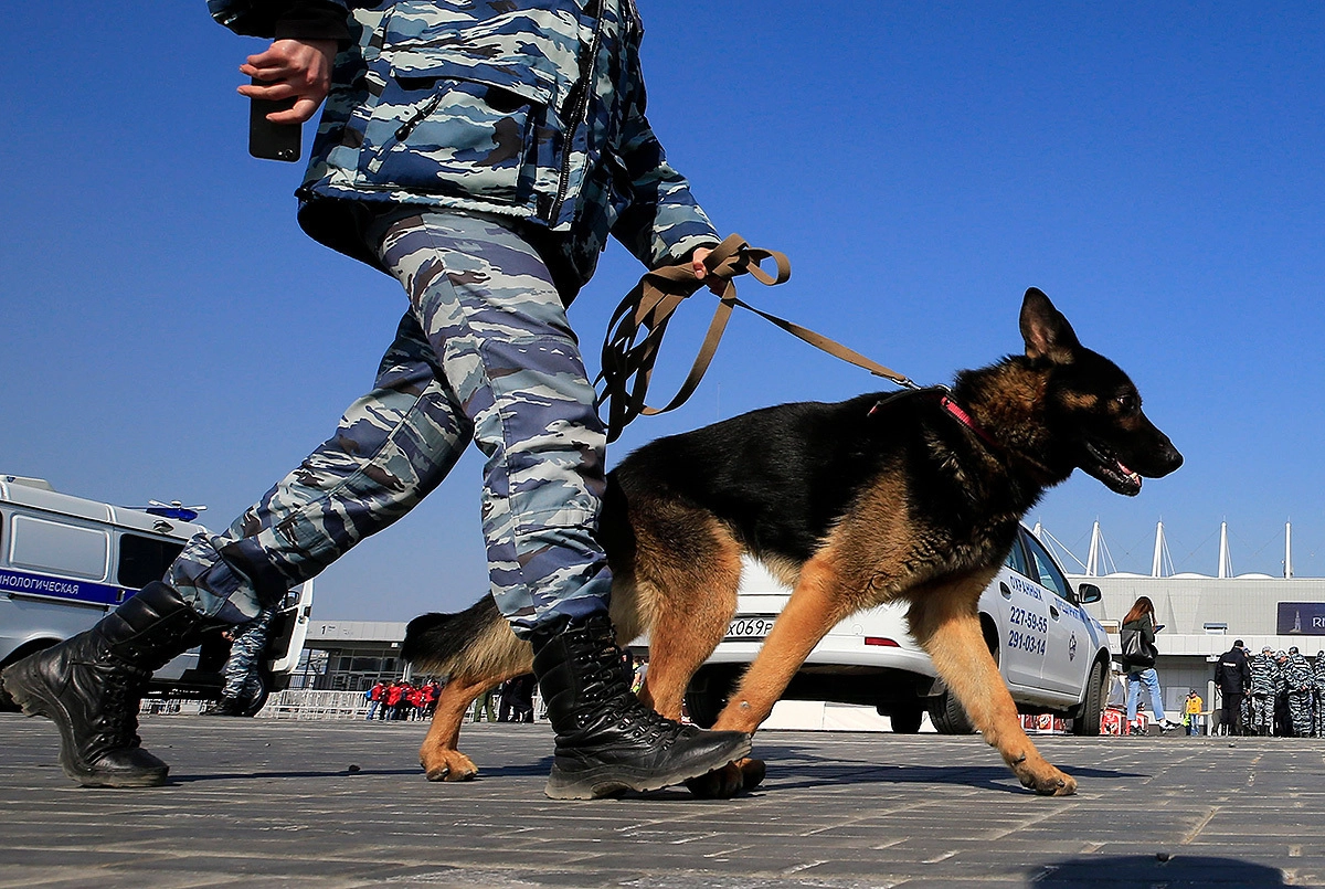 Кинолог с собакой. 