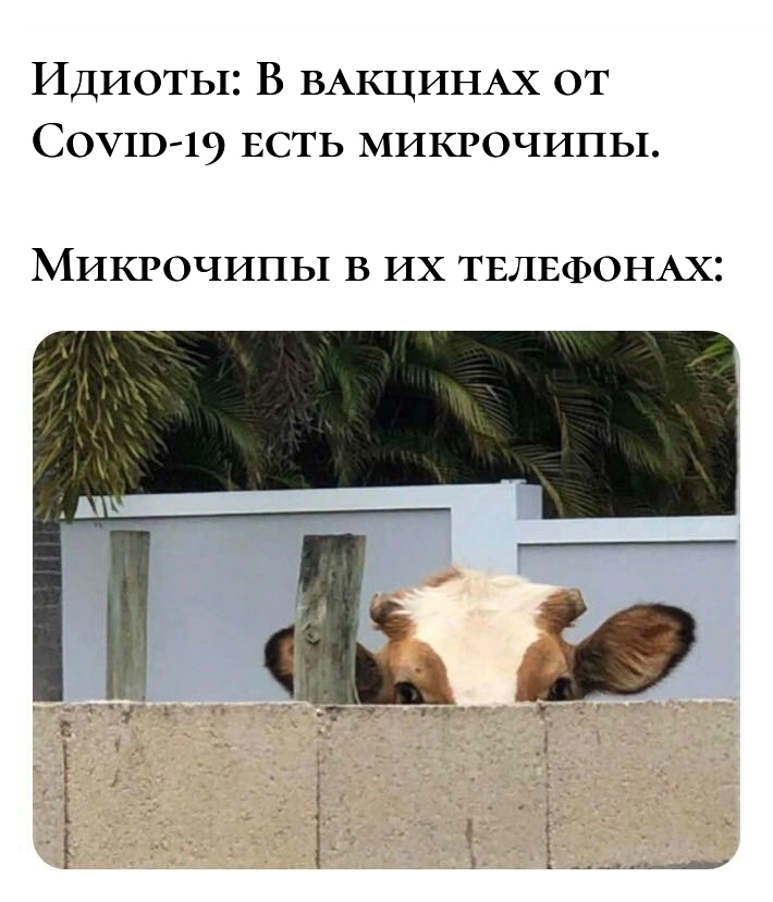 “звучит музыка из “Розовой пантеры””. 