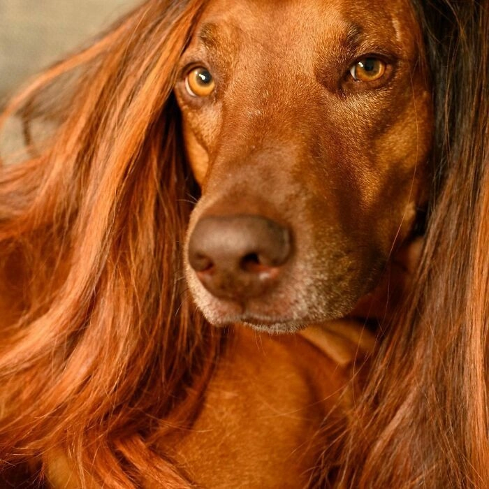 Идеальный цвет волос