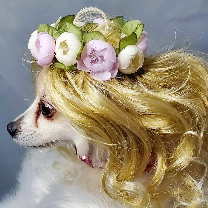 Ветер в волосах