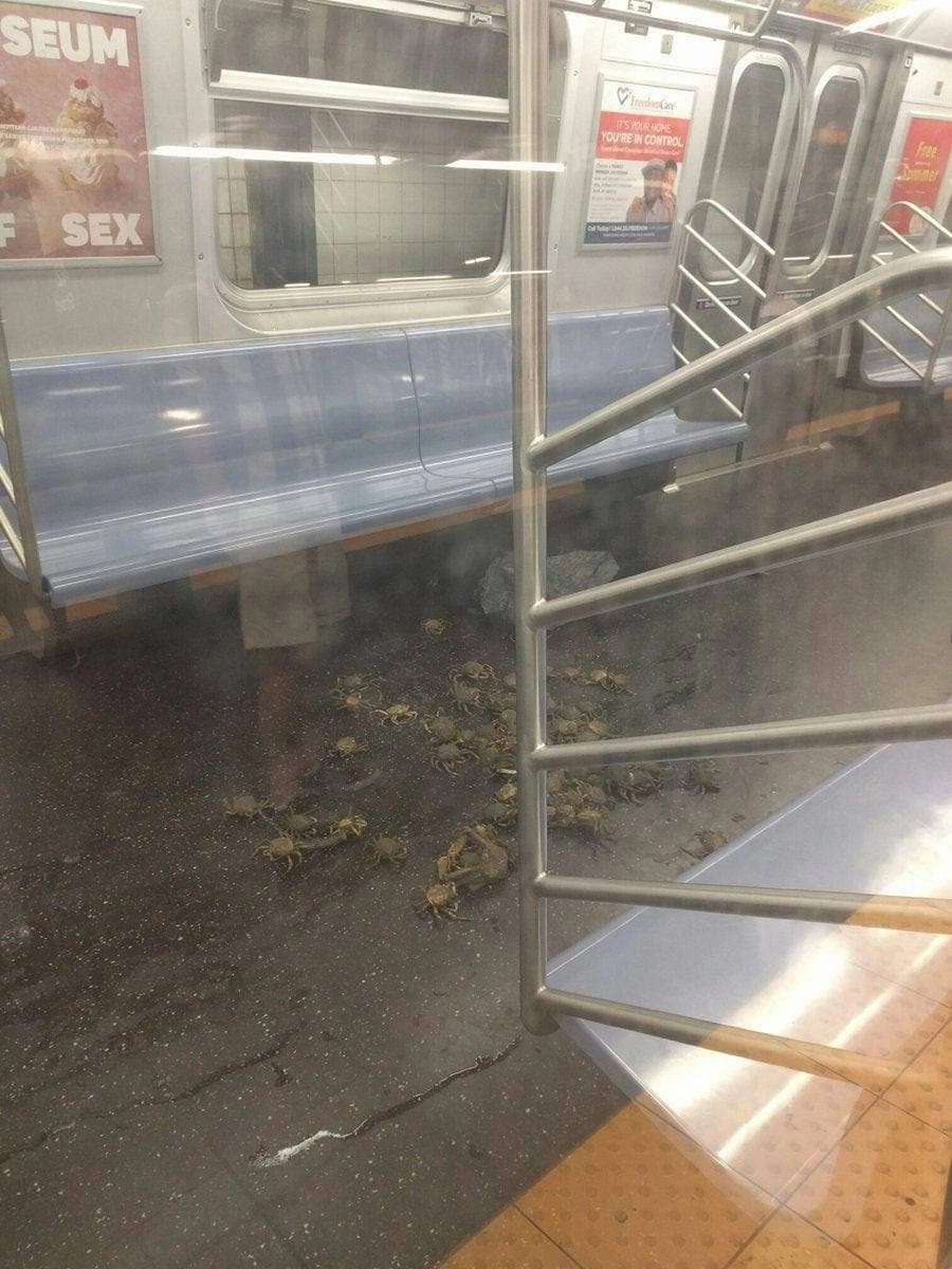 «Обычный день в нью-йоркском метро». 
