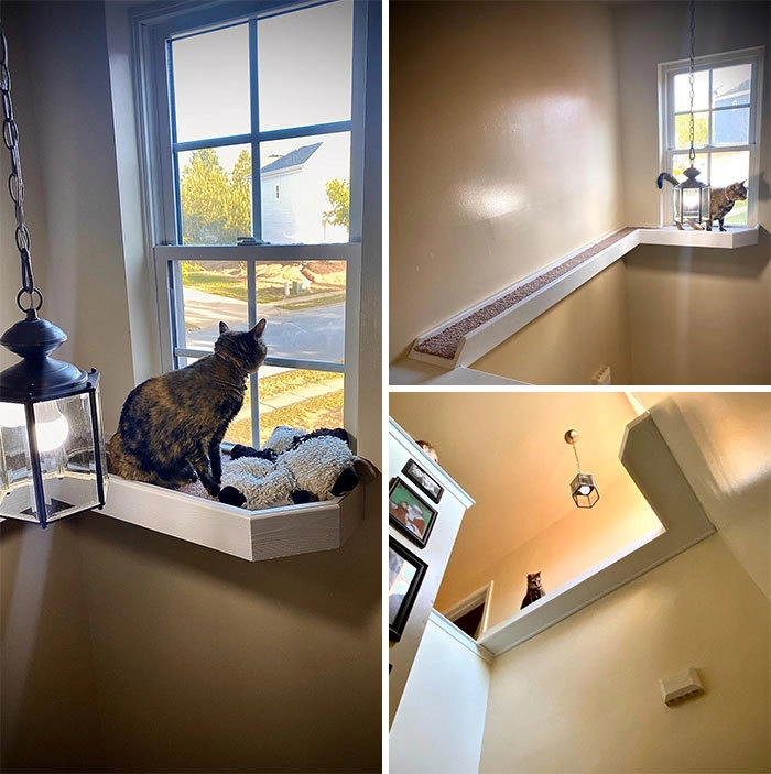 «Сделал для кошки мостик к ее любимому окну»