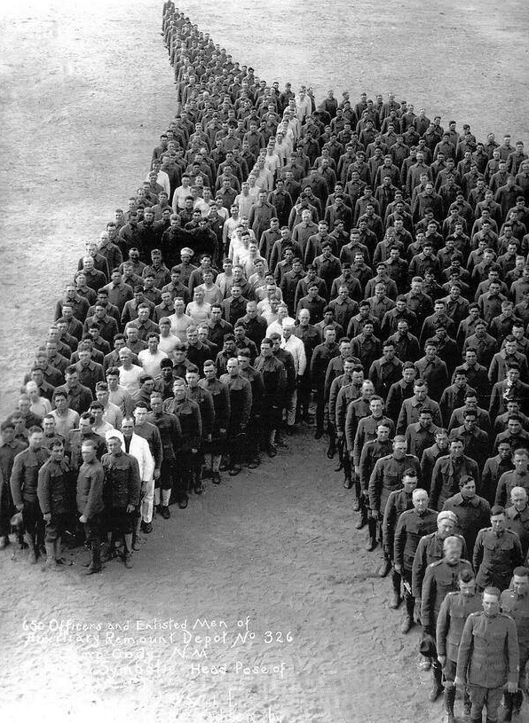 Дань памяти 8 млн лошадей, погибших во время Первой мировой войны. 